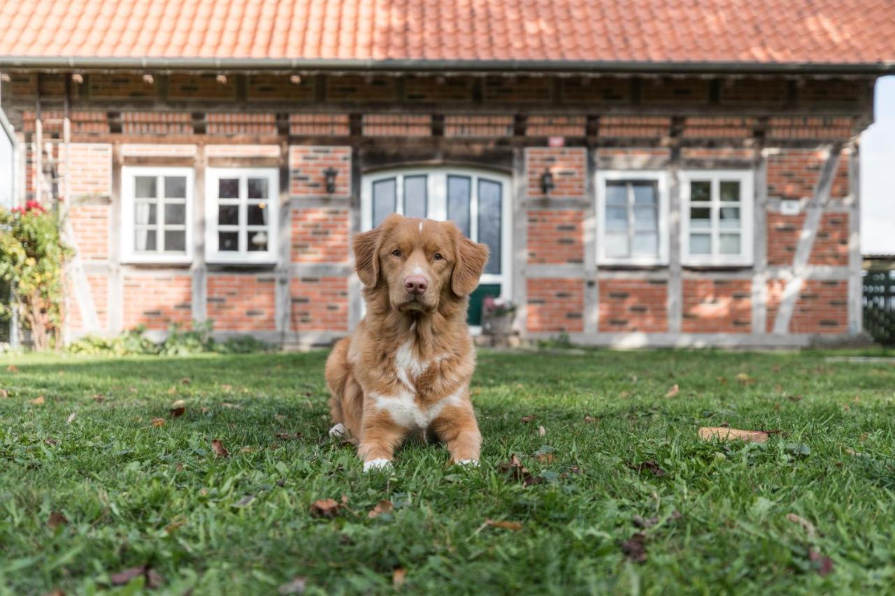Fachwerk-Ferienhaus, Ruhe Auf Dem Land, Haustiere Willkommen, Leihfahrraeder, 24-7 Check In Kirchlinteln Buitenkant foto